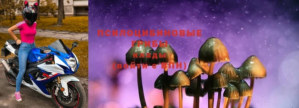 стаф Алексеевка
