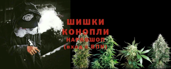apvp Протвино