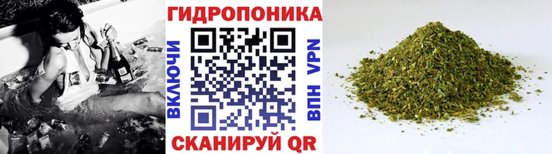 наркошоп  кракен ССЫЛКА  Бошки марихуана семена  Новоузенск 